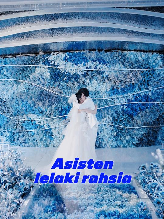 Pembantu Lelaki Rahsia