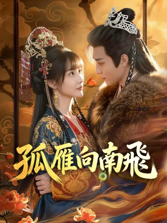 孤雁向南飛