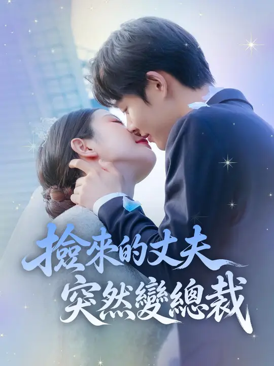撿來的丈夫突然變總裁