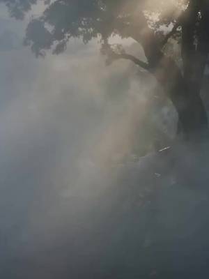 不死の父の帰還