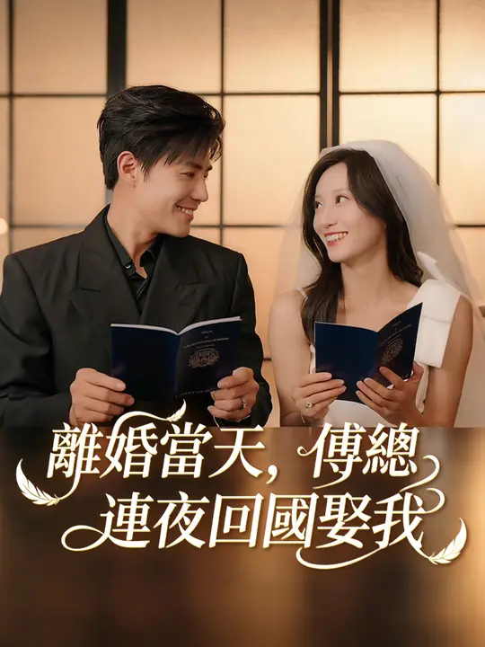 離婚當天，傅總連夜回國娶我