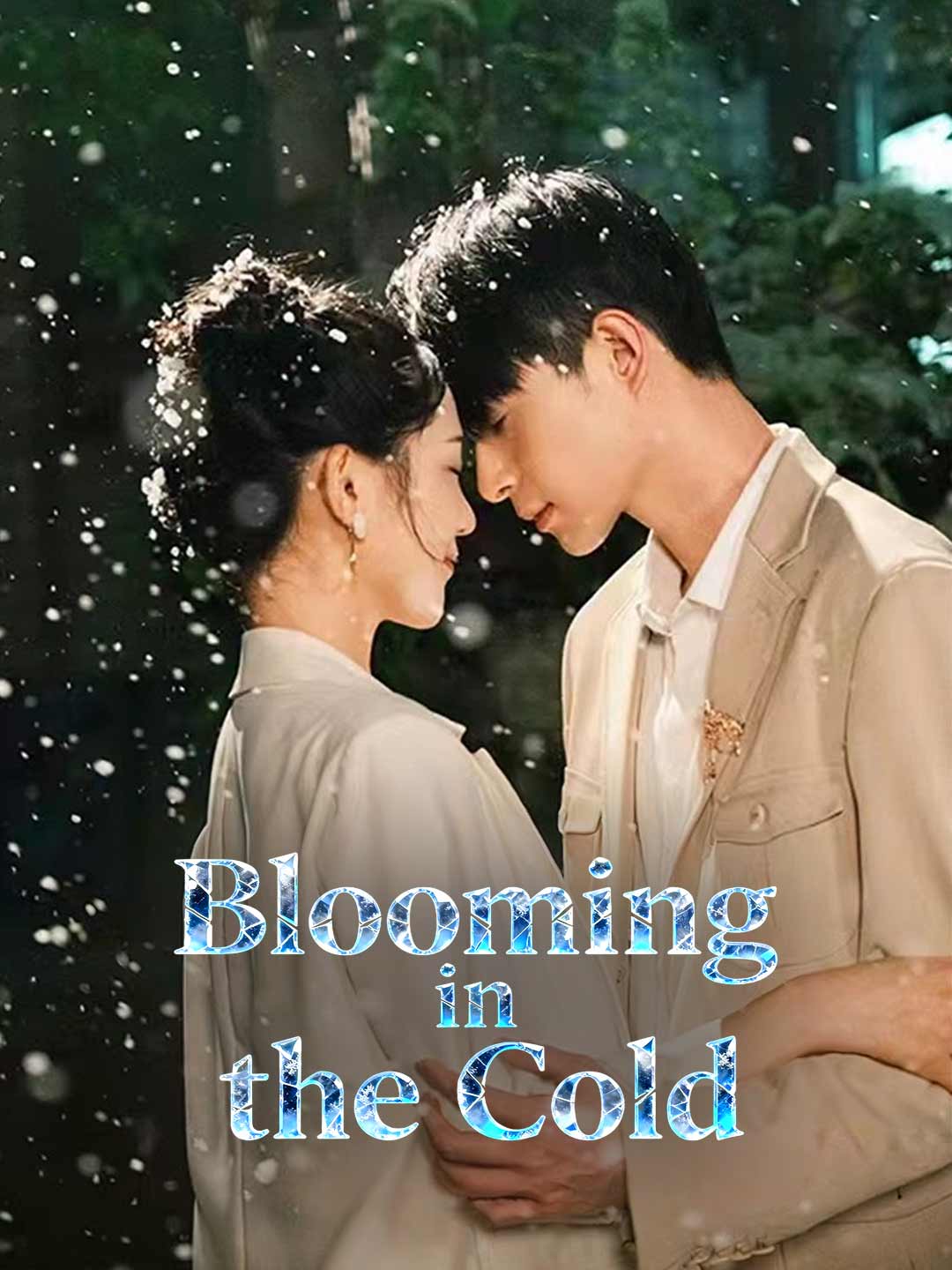 寒冬綻放的玫瑰
