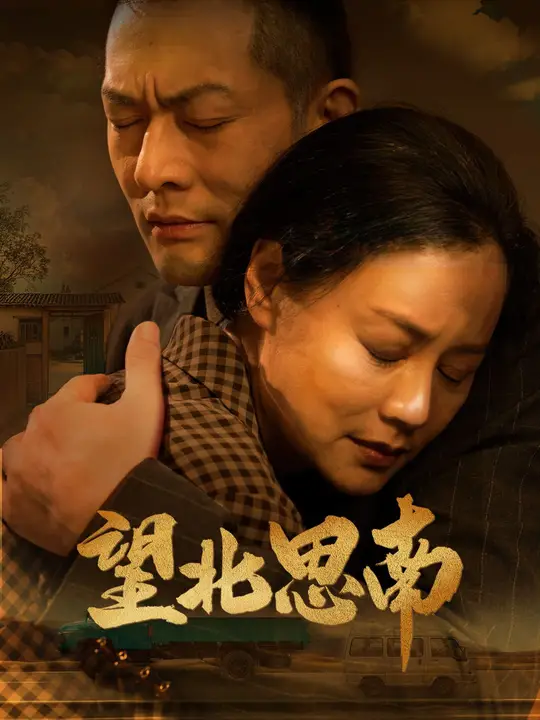 望北思南