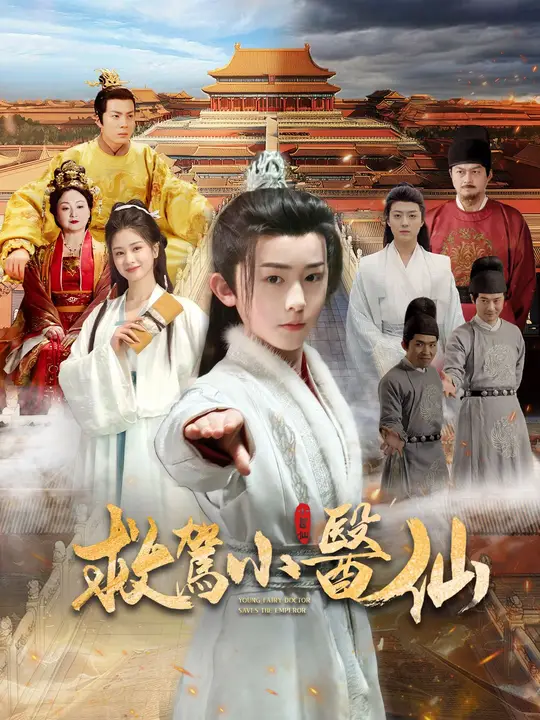 救駕小醫仙