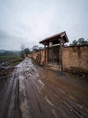 善良治愈全家人