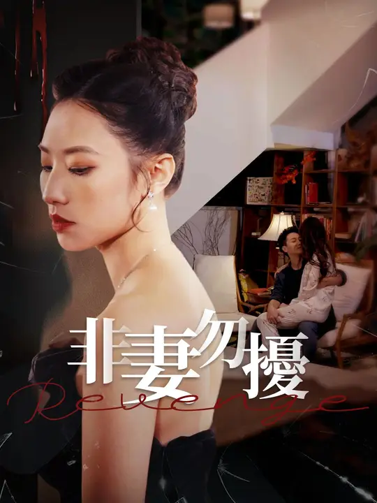 非妻勿擾
