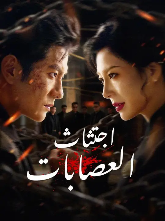 اجتثاث العصابات (مدبلج)