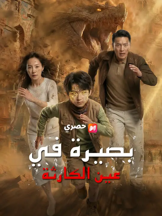 بصيرة في عين الكارثة