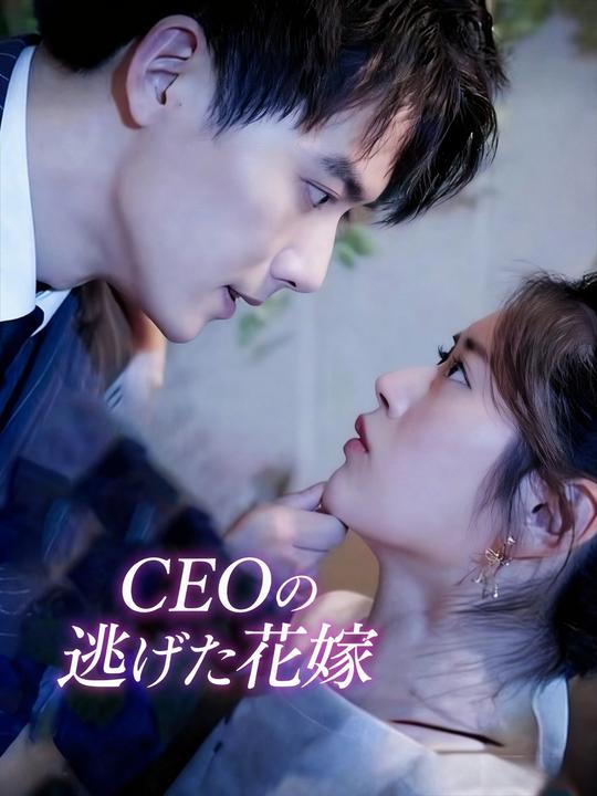 CEOの逃げた花嫁