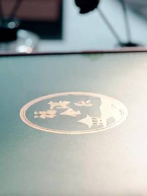 Menantu Diremehkan Jadi CEO