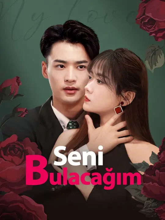 Seni Bulacağım