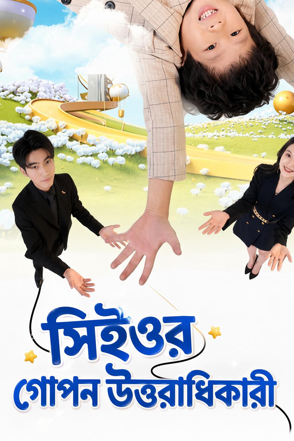 সিইওর গোপন উত্তরাধিকারী