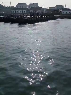 মাস্টারের এক্স-রে চোখ