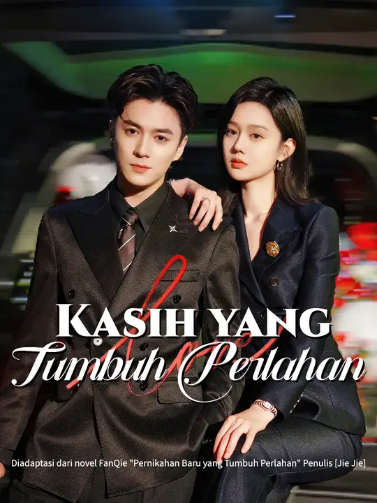 Kasih yang Tumbuh Perlahan