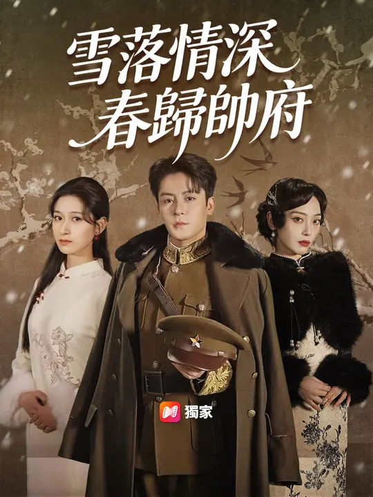 雪落情深，春歸帥府