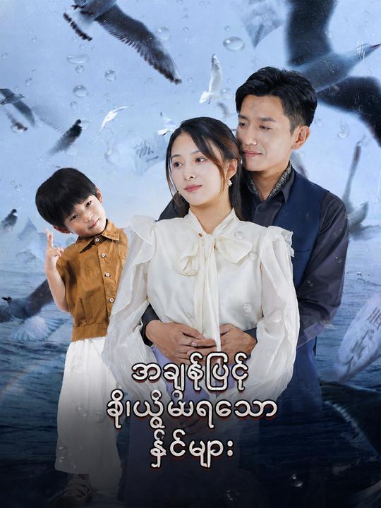 အချစ်ဖြင့် ခိုးယူခံရသော နှစ်များ