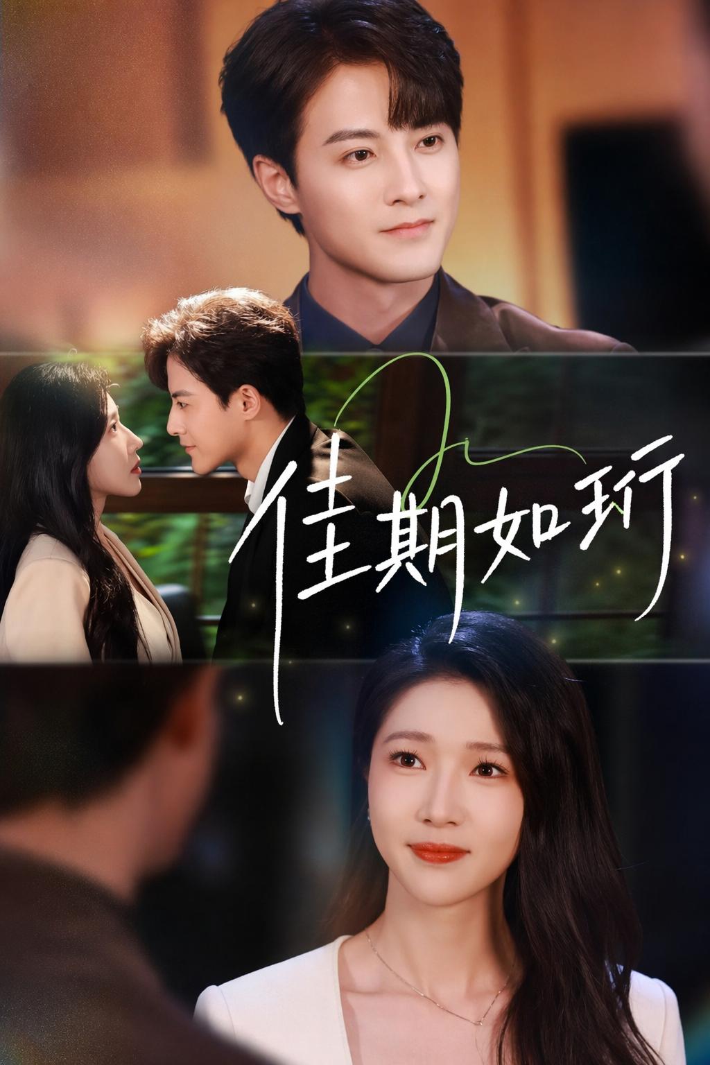 家庭主妇的复仇