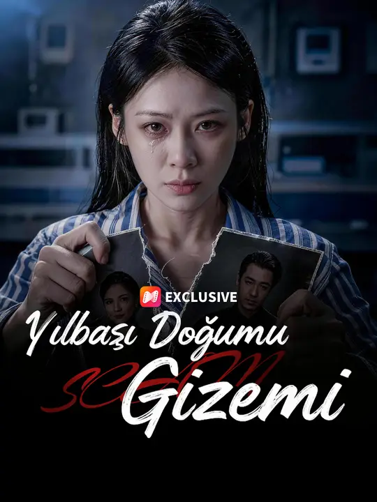 Yılbaşı Doğumu Gizemi