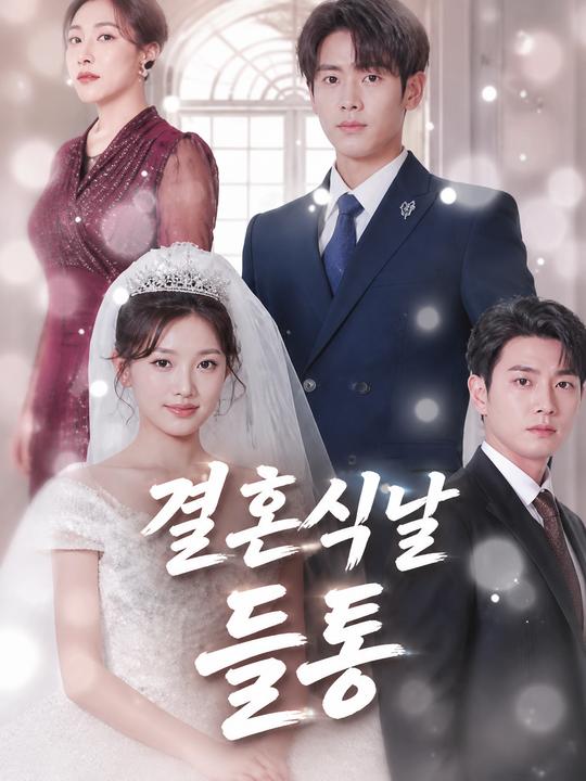 결혼식 날 바람 현장 덮친 신부