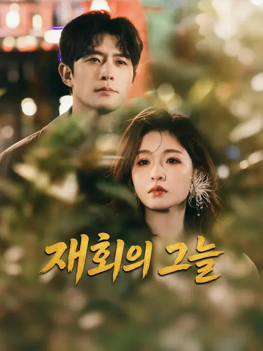 재회의 그늘