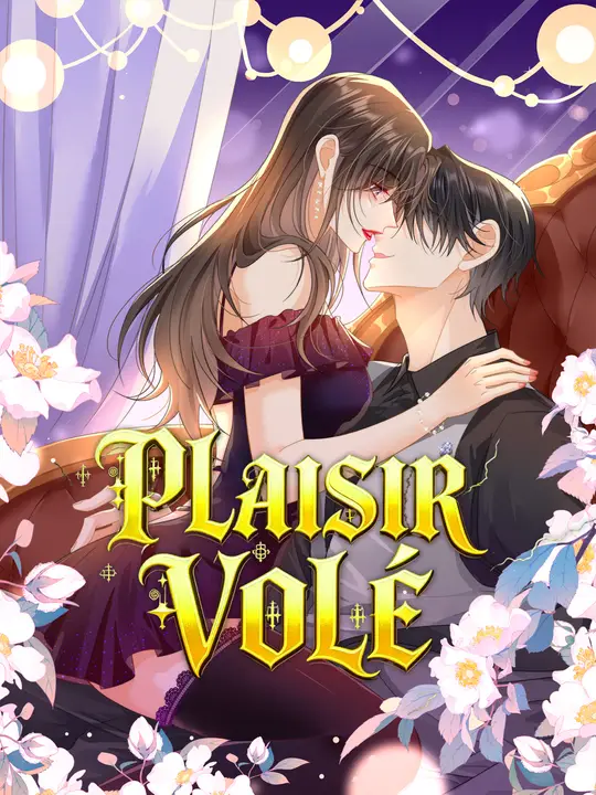 Plaisir Volé