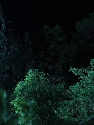 99 Putra Sang Kaisar