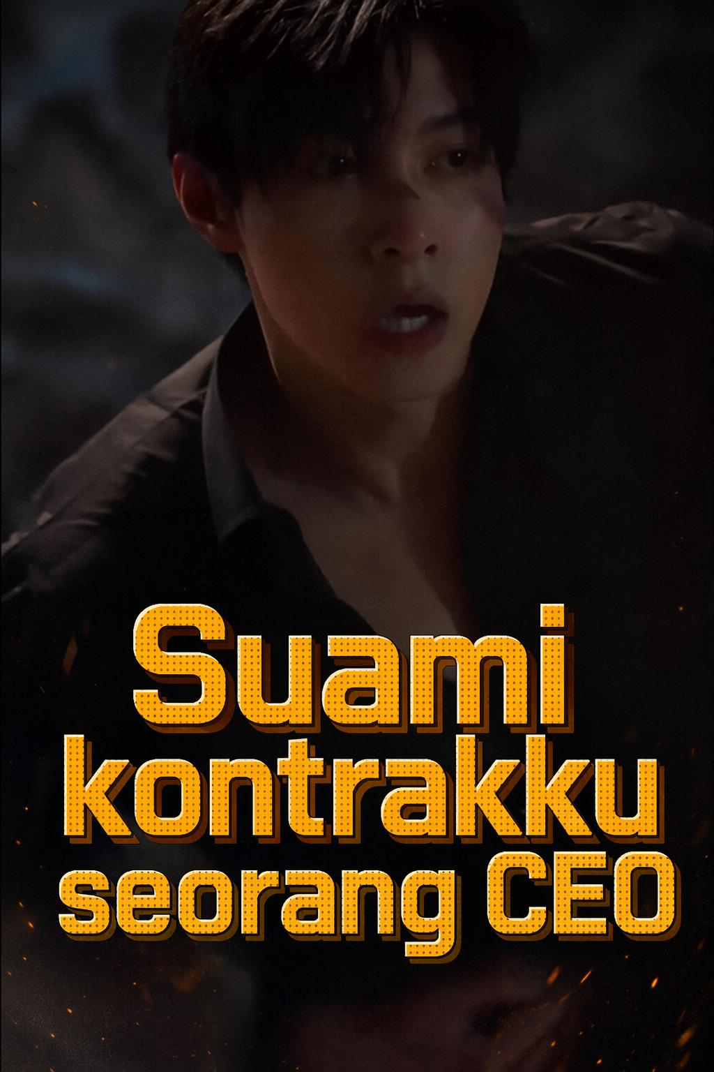 My Secret Billionaire Husband