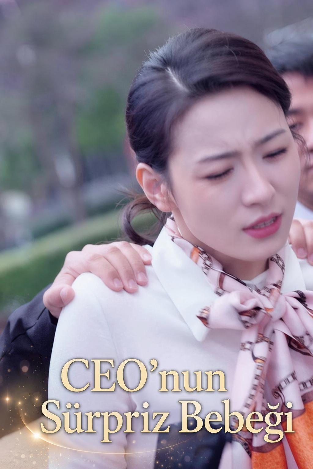 CEO'nun Bebeğine Hamile