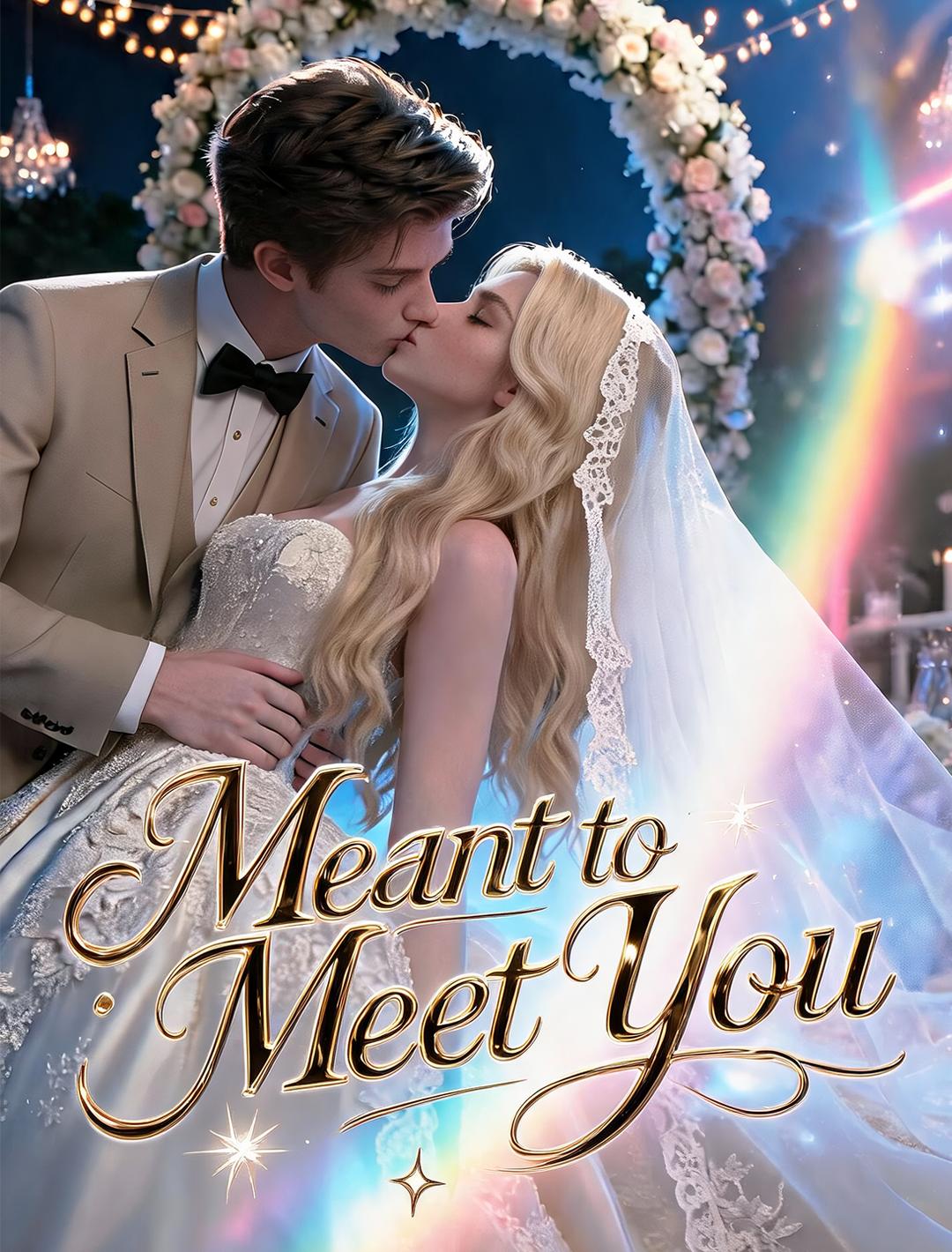 Meant to Meet You