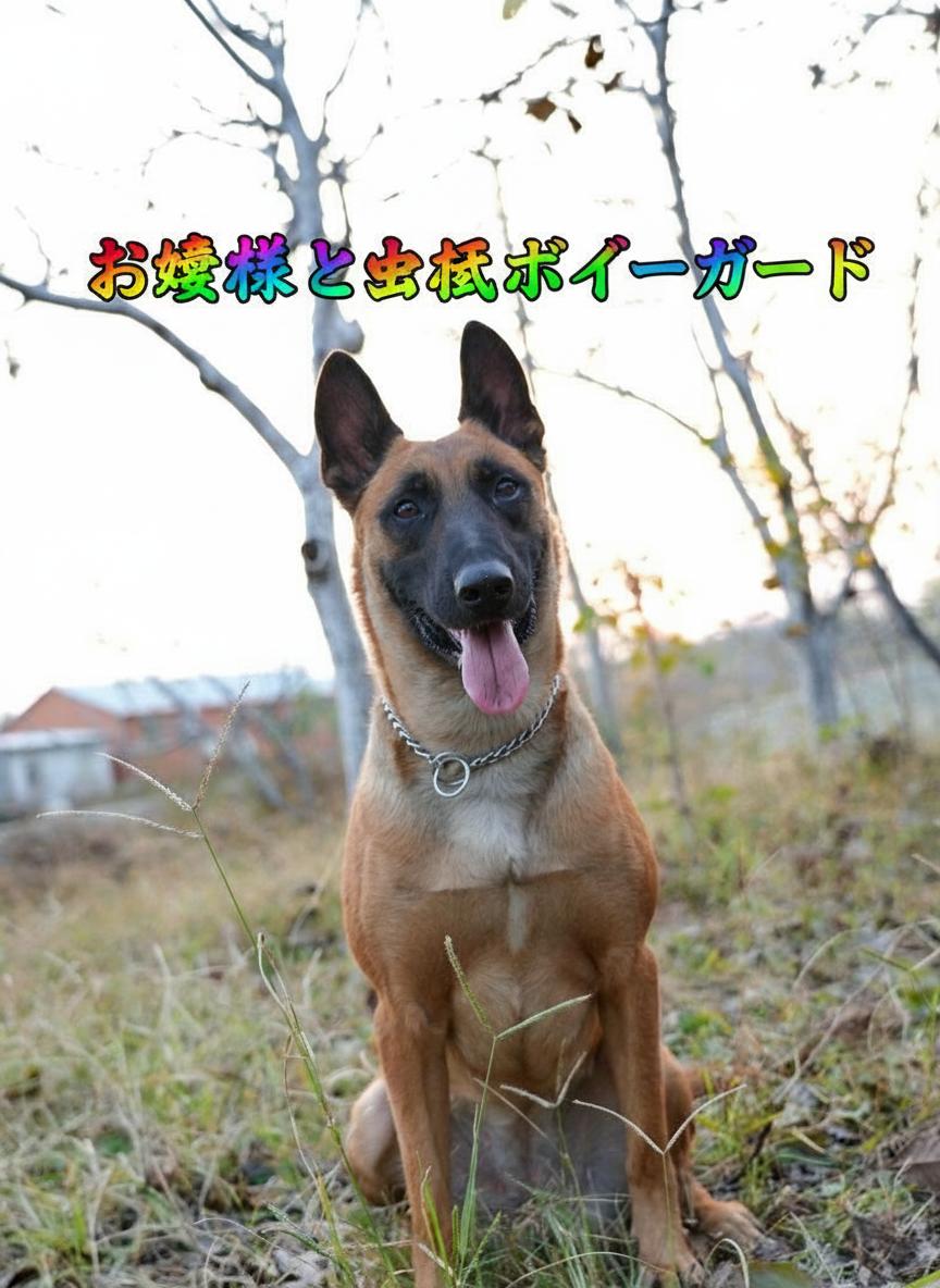 お嬢様と忠犬ボディーガード