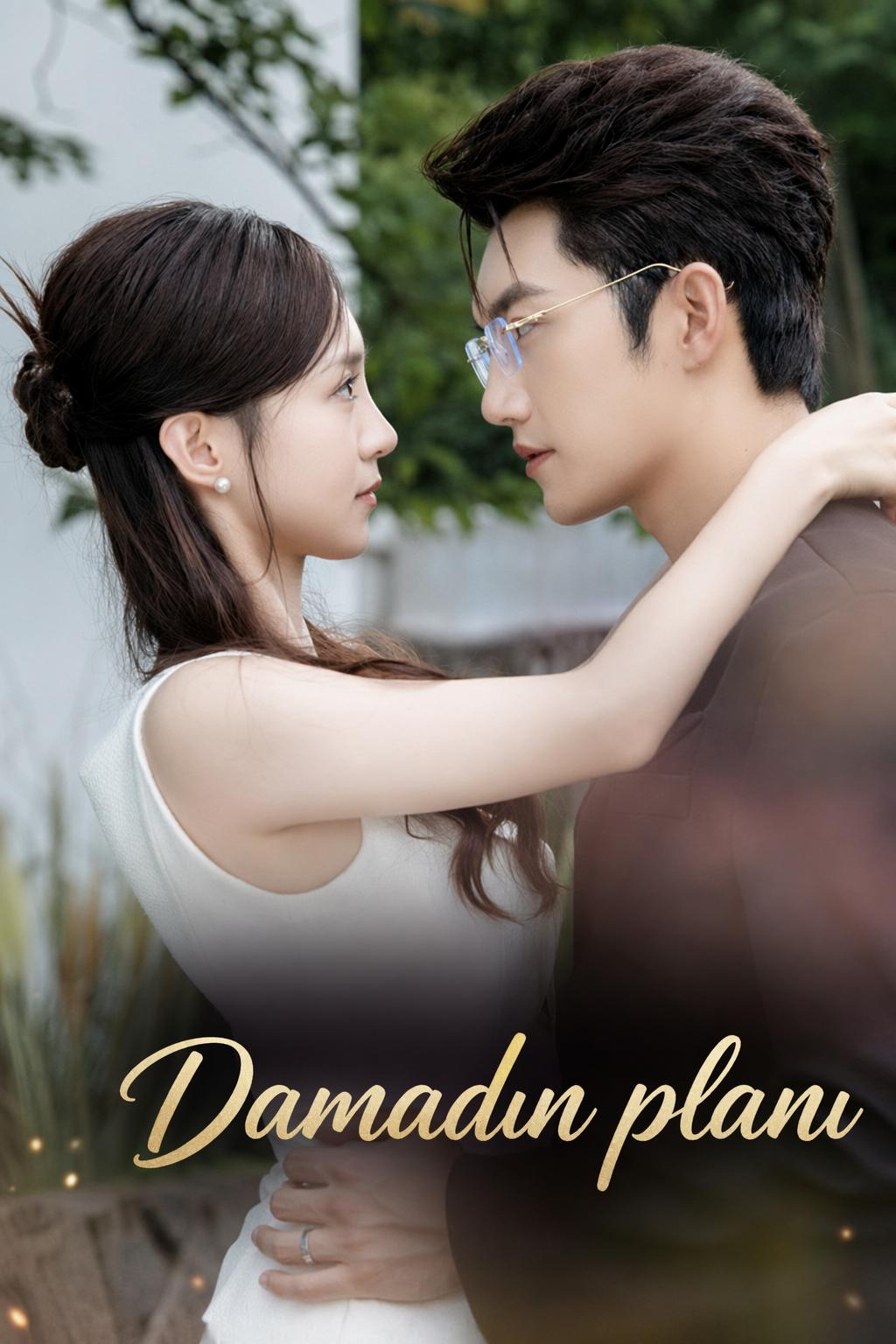 Damadın planı