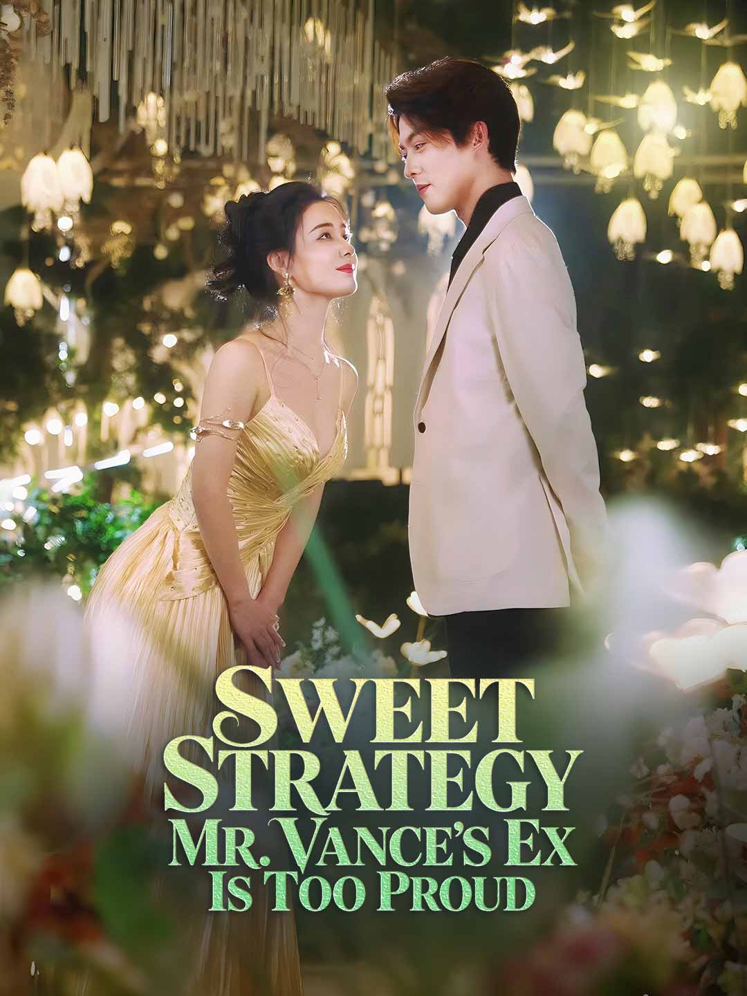 甜蜜攻略：凡斯先生的前妻太傲嬌
