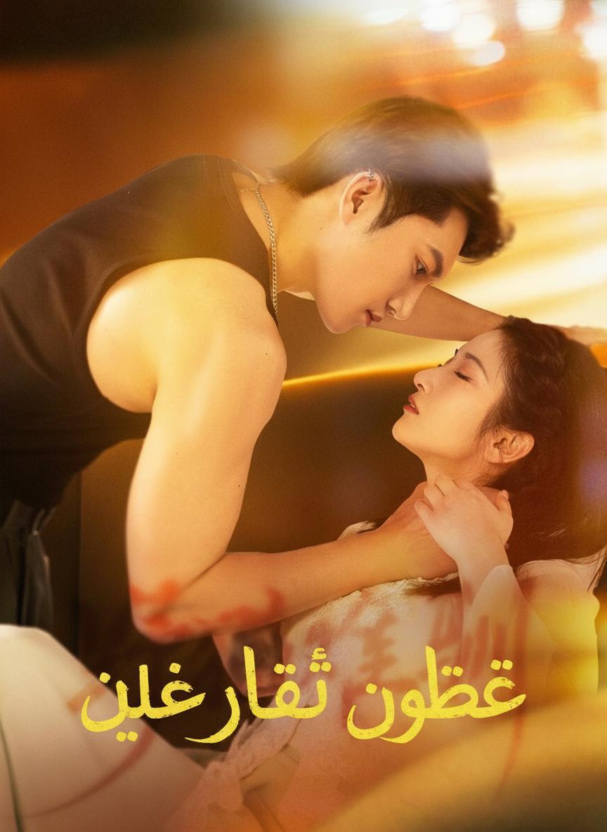 قطة داغر البرية