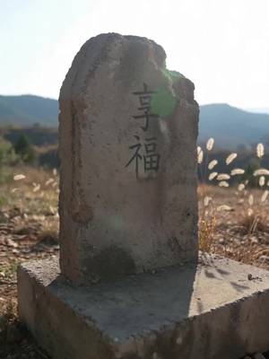 天才少女、破産した恩人を救う