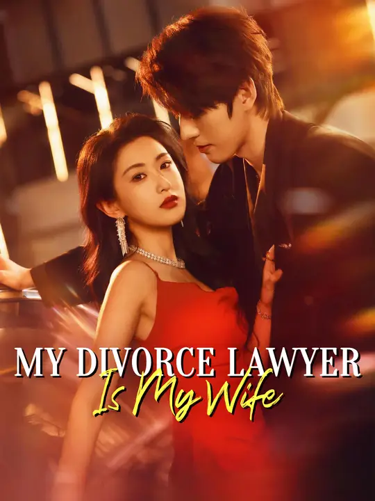 My Divorce Lawyer Is My Wife