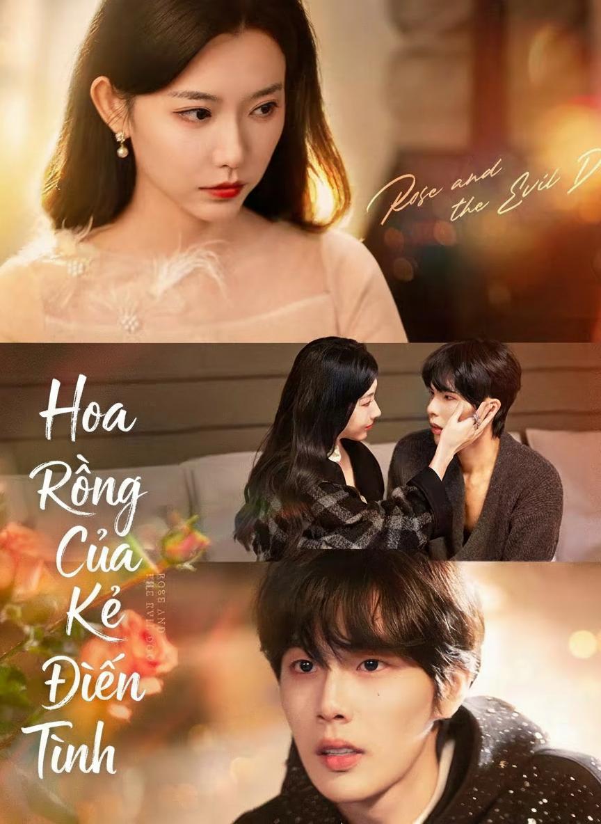 Hoa Hồng Của Kẻ Điên Tình