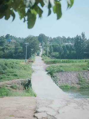 Petani muda ternyata sultan