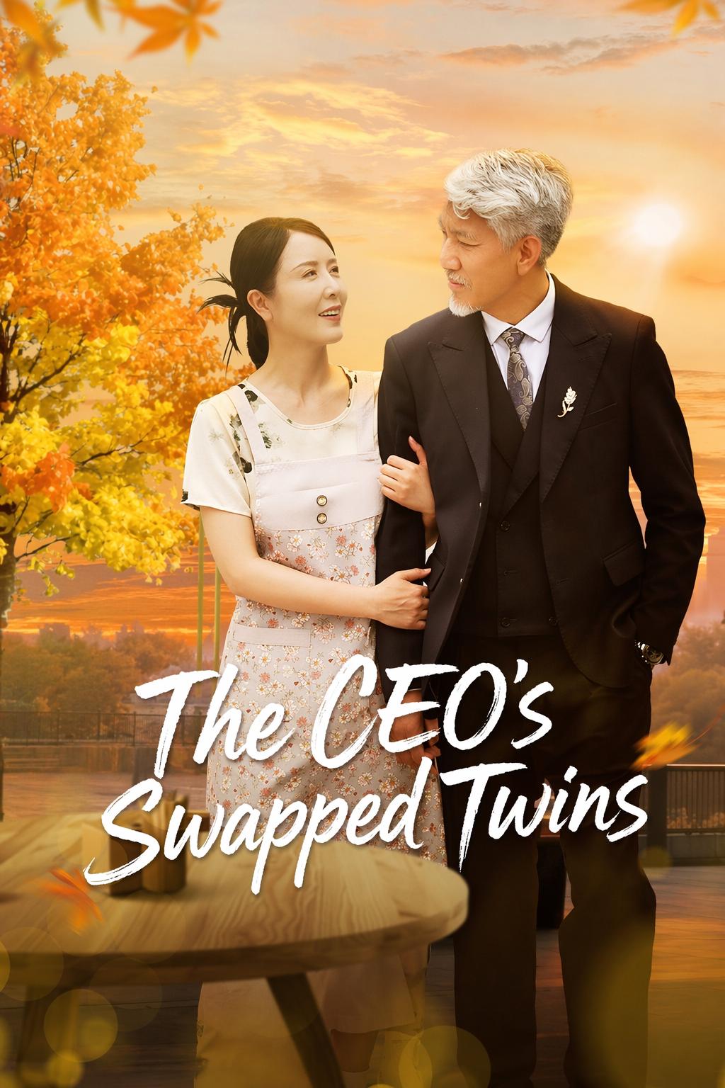 The CEO's Swapped Twins
