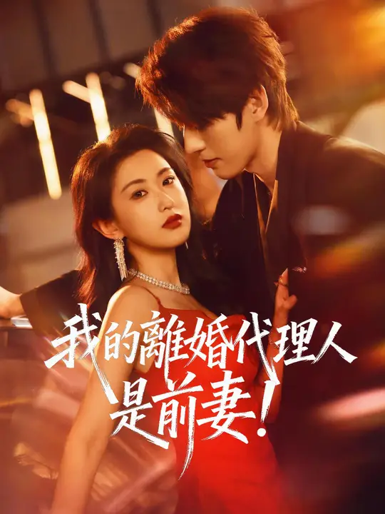 我的離婚代理人是前妻！