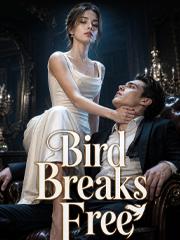 Bird Breaks Free