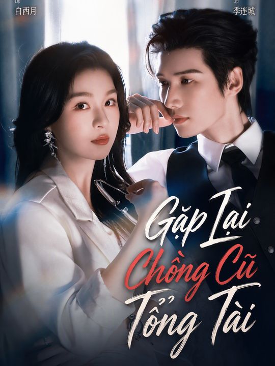 Gặp Lại Chồng Cũ Tổng Tài