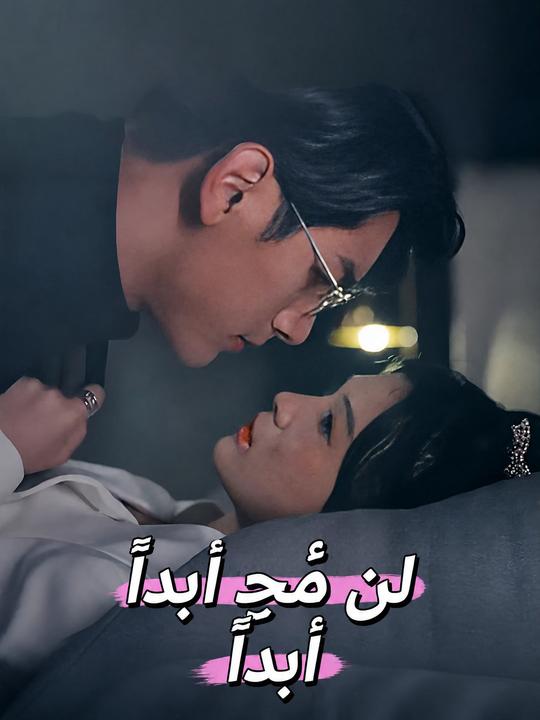 لن أحبك أبداً