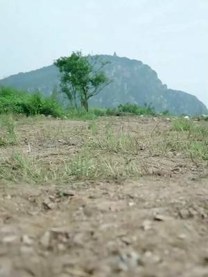 ဧကရီရဲ့ နတ်သမားတော်
