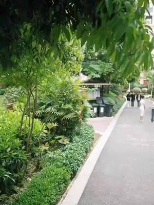 Kurebut Pengantinmu