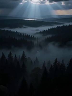 Две жизни, одно обещание