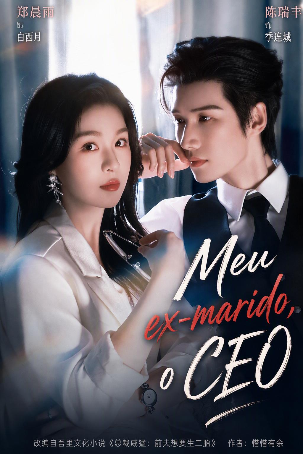 De Volta à Cama do CEO