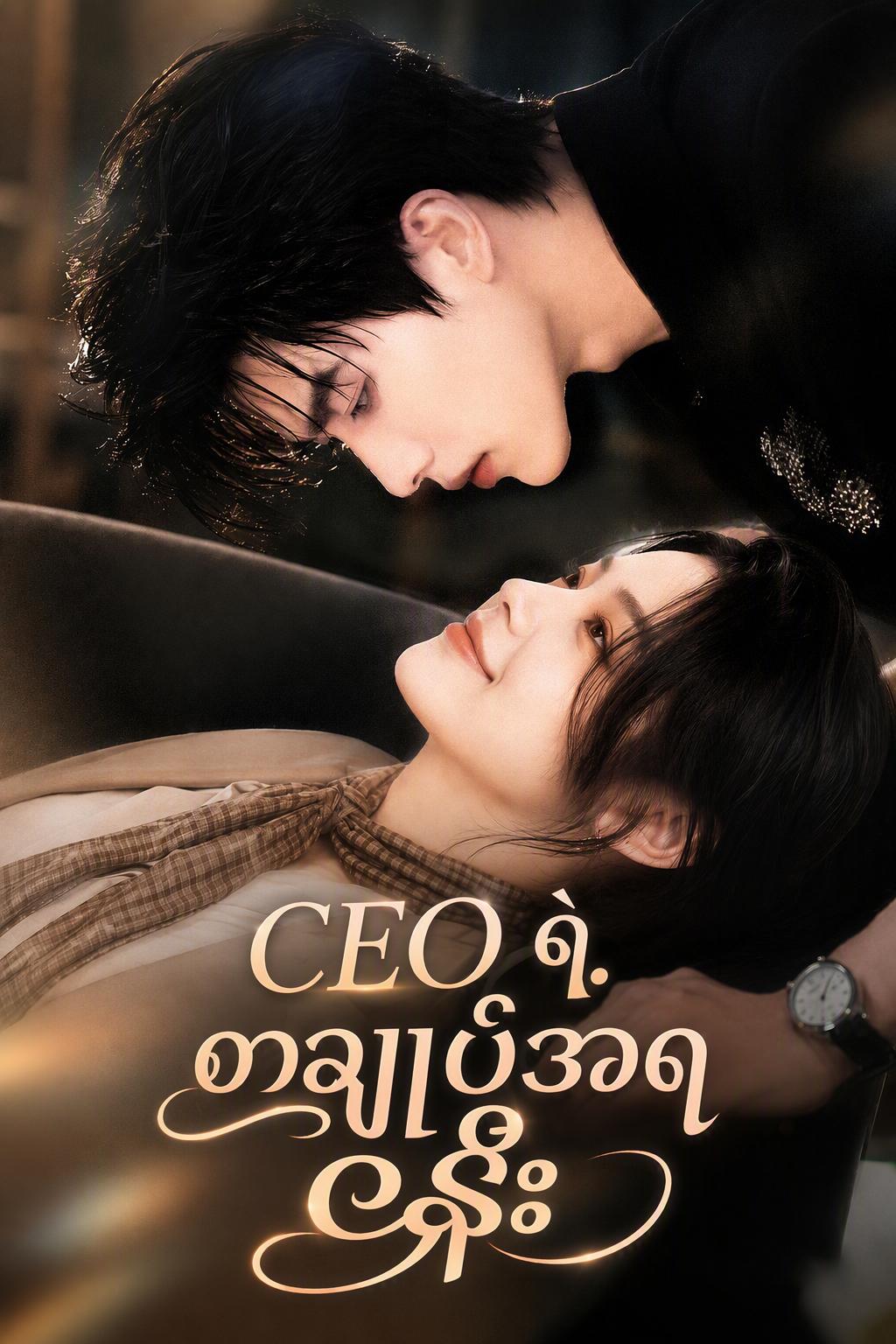 CEO ရဲ့ စာချုပ်အရဇနီး