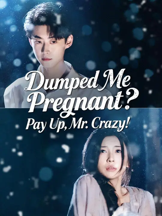 Dumped Me Pregnant? Pay Up, Mr. Crazy!