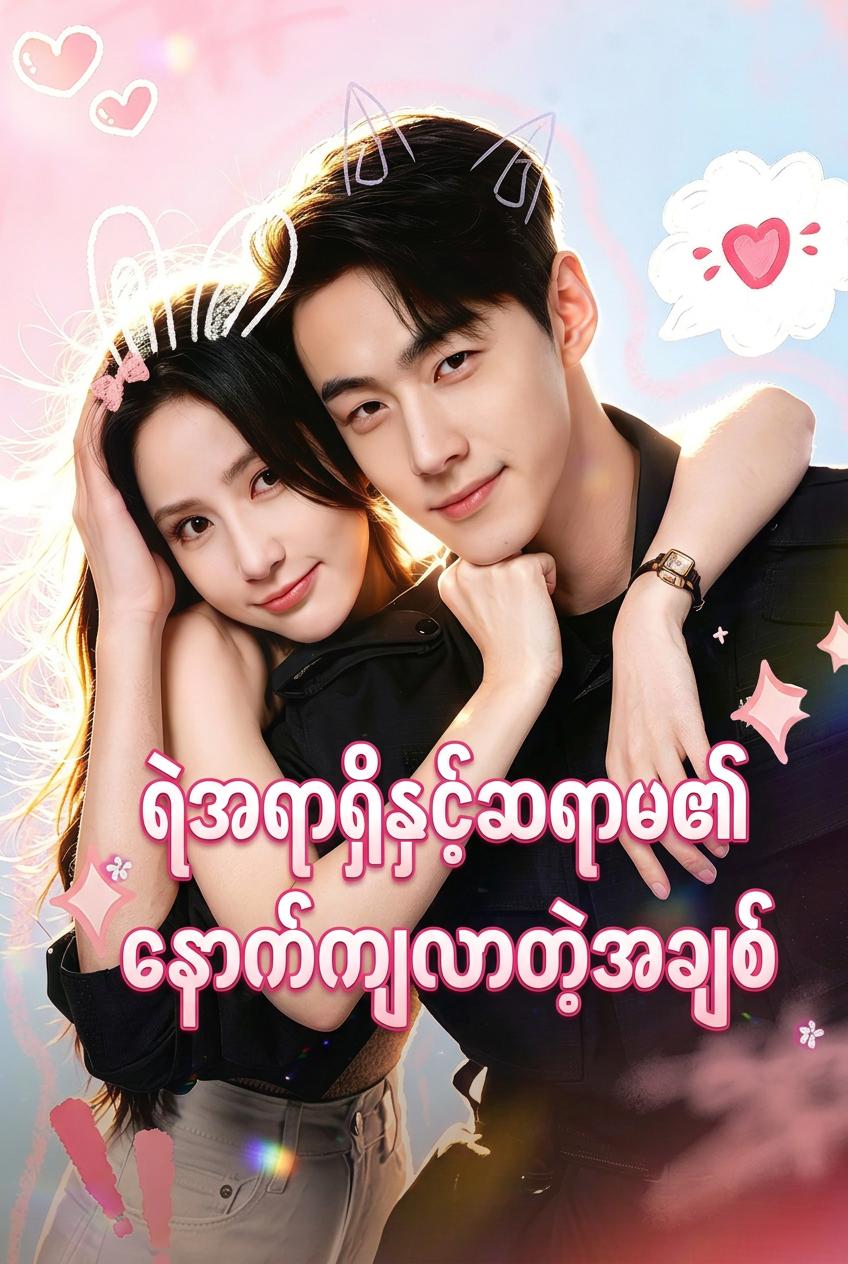 စုံထောက်၏နောက်ကျသောအချစ်
