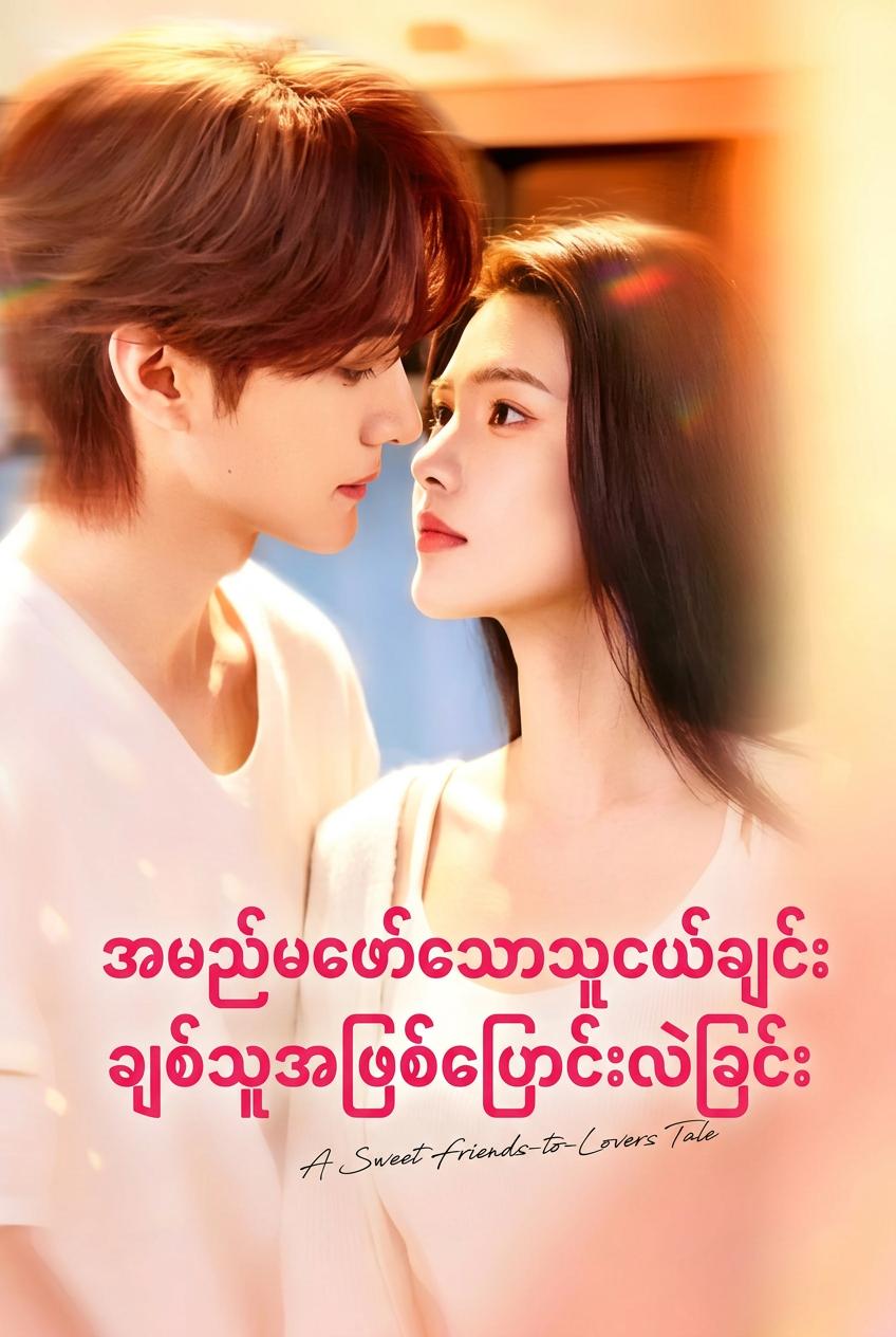 အမွေဆက်ခံသူ၏ လျှို့ဝှက်စာရေးဆရာမ